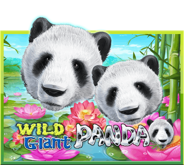 Wild Giant Panda สล็อตเว็บตรง